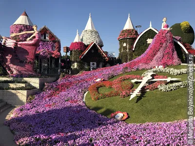 Парк цветов в Дубае Miracle Garden - наш обзор с фото, ценами, как  добраться | Оnly2weeks - путешествия своим ходом