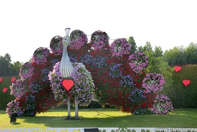 Dubai Miracle Garden (\"Чудо-Сад\" в Дубае) | Ландшафтный дизайн садов и  парков