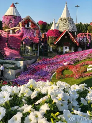 Отзыв о Парк цветов Miracle Garden (ОАЭ, Дубаи) | Парк, который нас  впечатлил!