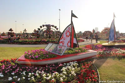 Dubai Miracle Garden (\"Чудо-Сад\" в Дубае) | Ландшафтный дизайн садов и  парков