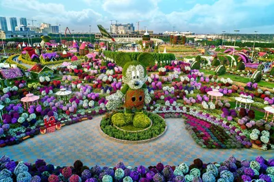 Самый большой в мире природный парк цветов: “Dubai Miracle Garden” -  Amusement Logic