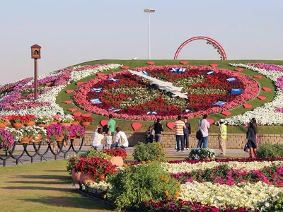 Парк цветов в Дубае (Dubai Miracle Garden)