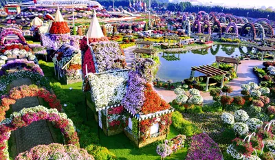 Парк Цветов Dubai Miracle Garden (ВРЕМЕННО ЗАКРЫТ) (Дубай, ОАЭ) - авторский  обзор, часы работы, цены, фото | Коллекция Кидпассаж