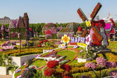 Парк Dubai Miracle Garden – цветущий оазис в пустыне