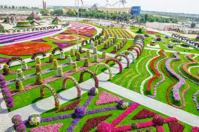 Это же 8-е чудо света! Уникальный сад в Дубае удивит даже самых придирчивых  | Miracle garden, Gardens of the world, Most beautiful gardens
