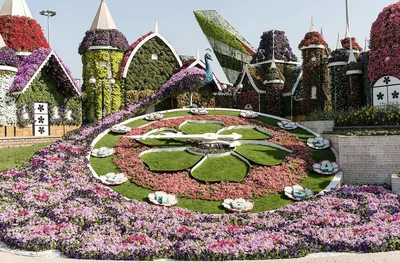 Парк Цветов Dubai Miracle Garden (ВРЕМЕННО ЗАКРЫТ) (Дубай, ОАЭ) - авторский  обзор, часы работы, цены, фото | Коллекция Кидпассаж