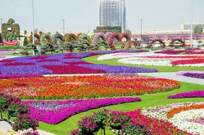 Парк Цветов в Дубае / Dubai Miracle Garden - YouTube