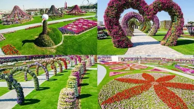 Билеты в Dubai Miracle Garden 2024 - доступ без очереди