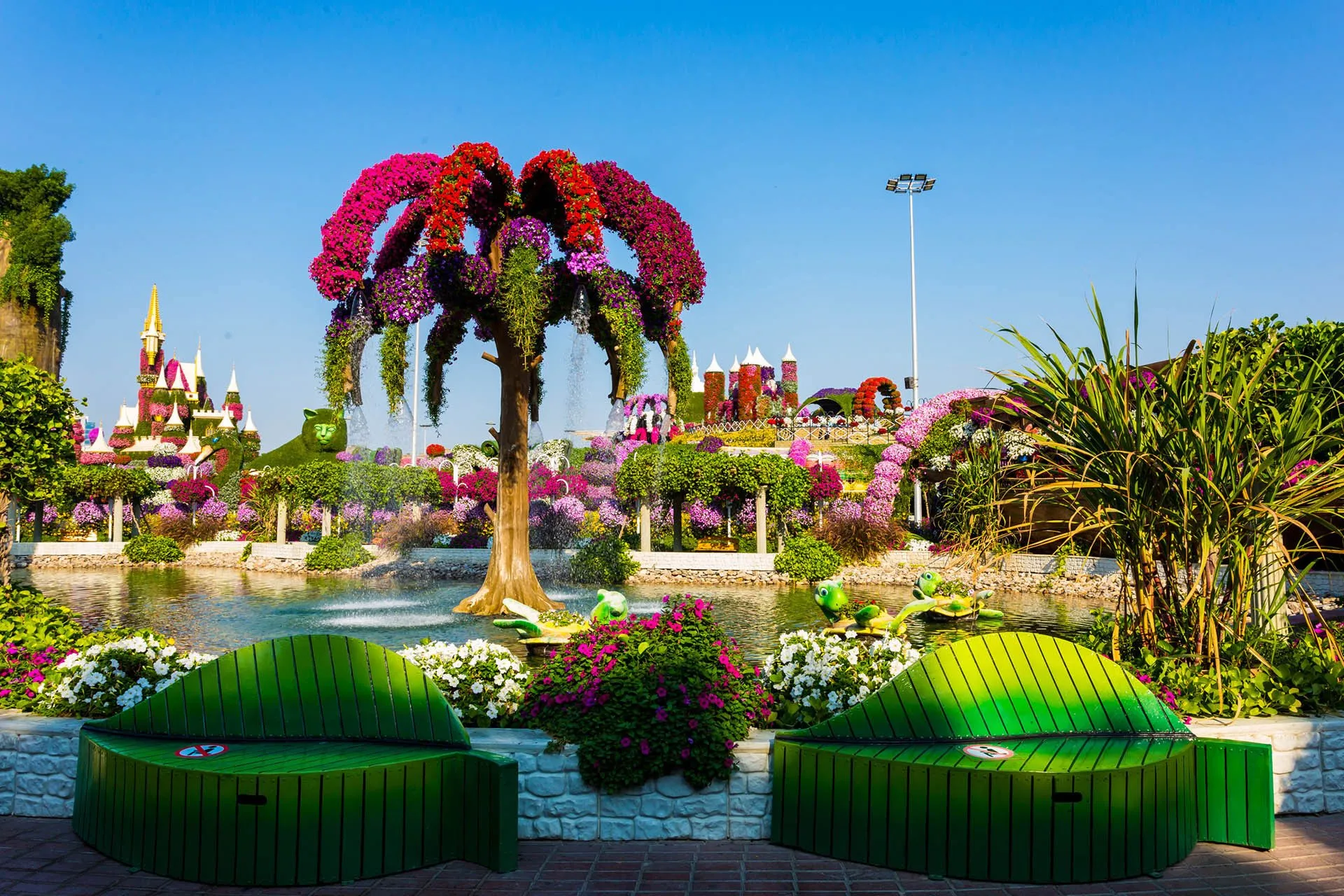 Дубайский парк. Парк Миракл Гарден Дубай. Миракл Гарден парк цветов Дубай. Миракл Гарден Дубай 2021. Мирагле Гарден в Дубай Миракл сад.