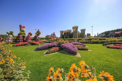 Парк Dubai Miracle Garden – цветущий оазис в пустыне