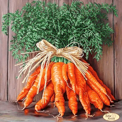 Цветок моркови стоковое фото. изображение насчитывающей страна - 45530428