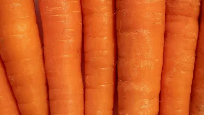 Букет из моркови с розами» — создано в Шедевруме