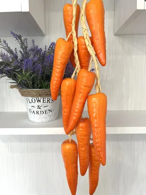 Морковь дикая — Википедия