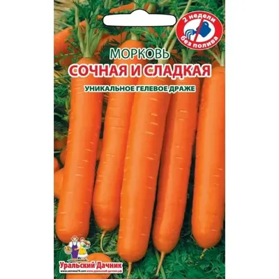 5 шт., Пасхальная имитация моркови, блестящий яркий цвет, имитация моркови,  фруктов, овощей, украшение для дома | AliExpress