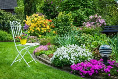 Какие же бывают самые популярные садовые цветы - мнение садоводов