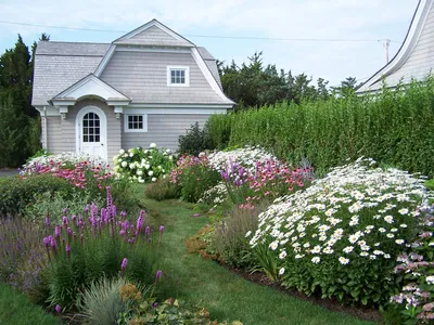 Куда сажать цветы: 5 способов посадить цветы красиво | Сады на открытом  воздухе, Идеи для садового дизайна, Садовые растения