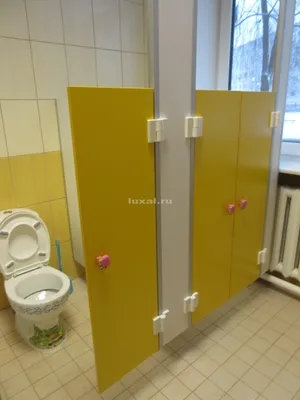 Воспитанниц детского сада Петербурга заставили мыть туалет холодной водой -  KP.RU