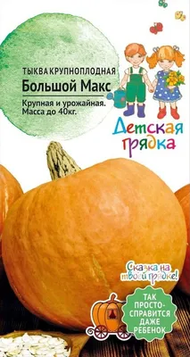 Тыква крупноплодная Большой Макс 1,5 г Детская грядка / семена овощей /  тыквы на посадку для сада дома огорода / | AliExpress