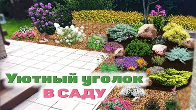 Очень уютный уголок, чтобы спрятаться от солнца👌🏻 | Garden inspiration,  Beautiful gardens, Garden design