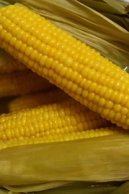 Сладкая кукуруза в духовке в рукаве - лучший рецепт — УНИАН