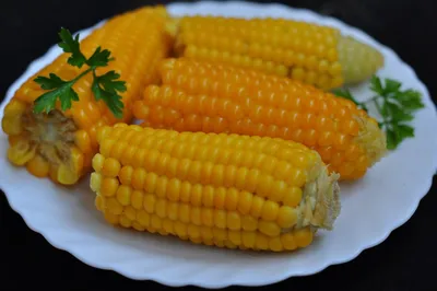 Как правильно варить кукурузу в початках: рецепт пошагово | Вареная кукуруза,  Кукуруза, Рецепты