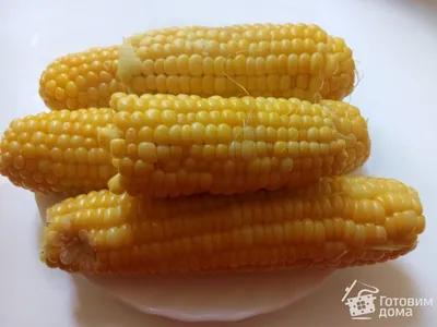 Сколько варить кукурузу, как варить кукурузу — рецепт, правильно варим  кукурузу - 12 июля 2022 - Sport24