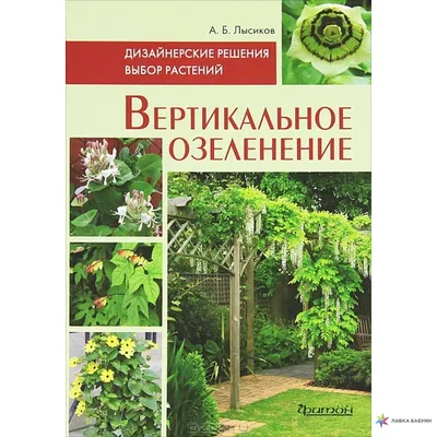 Озеленение балконов в Санкт-Петербурге от ландшафтной студии Орешник