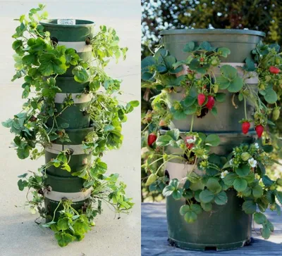 Vertical vegetable garden ideas - YouTube