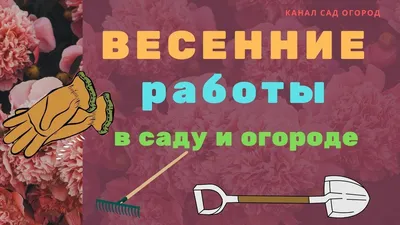 Весенние работы в саду и огороде | Огород, Сад, Садоводство