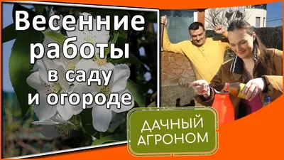 Весенние работы в саду и огороде: календарь и советы дачникам - 26 марта  2022 - Фонтанка.Ру