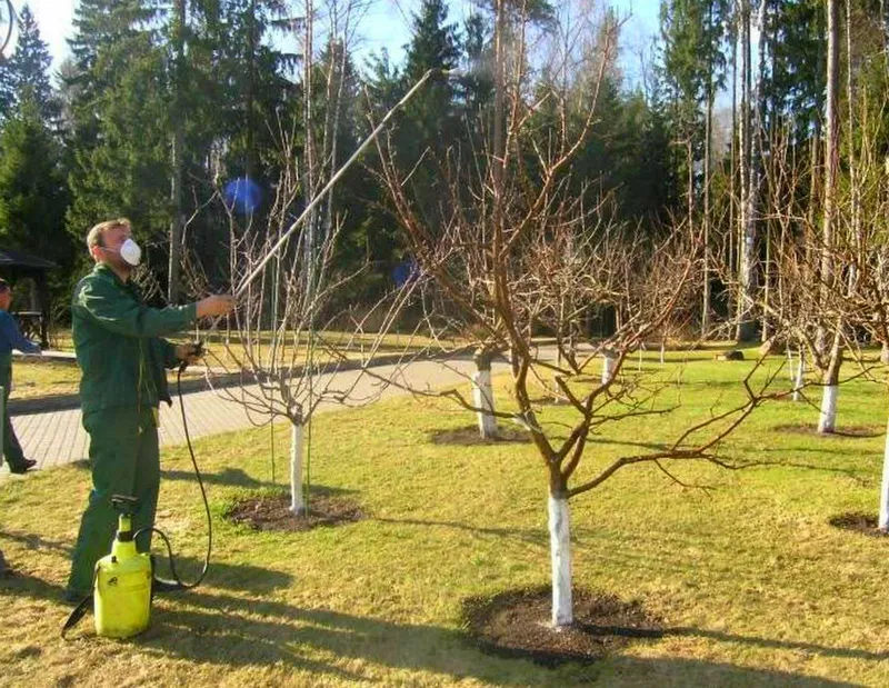 Удачный ЛУННЫЙ ПОСЕВНОЙ КАЛЕНДАРЬ на НОЯБРЬ 2023 года