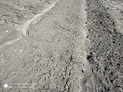 Руки садовода женщины в садовых перчатках посевной ростки в огороде.  Концепция работы весенний сад Стоковое Изображение - изображение  насчитывающей грязь, помогать: 171362809