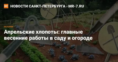 Руки садовода женщины в садовых перчатках посевной ростки в огороде.  Концепция работы весенний сад Стоковое Изображение - изображение  насчитывающей культивирование, помогать: 212837505