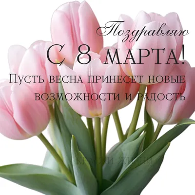 Обои весна, Тюльпаны, розовые, 8 марта, желтые на телефон и рабочий стол,  раздел цветы, разрешение 4000x3000 - скачать