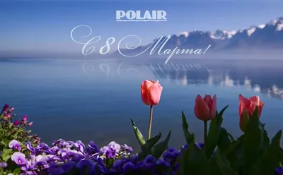 Удивительные они, женщины… И удивителен волшебный весенний праздник 8 марта!  - узнайте больше новостей о компании на сайте polair-shop.ru
