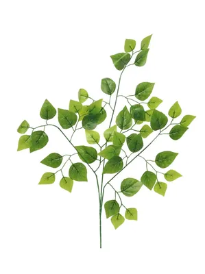 Ветка березы цвет зеленый лист 66 см HS-24-4 (9-626 зел) - купить по  оптовым ценам
