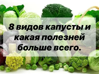 Капустные, луковые, салатношпинатные овощи - презентация онлайн