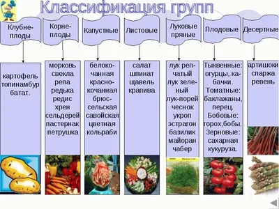 Купить Полезные волшебные продукты, фаршированные мясом, овощами,  инструменты для раскатки капустных листьев, роликовая машина для быстрого  приготовления турецких суши | Joom