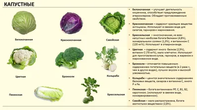 Механическая и кулинарная обработка овощей, грибов - презентация онлайн