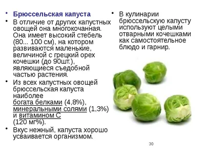 Какие овощи могут быть вредными для здоровья | Север-Пресс