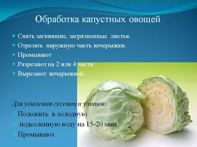 Свежие овощи, плоды, грибы. Общие требования к качеству. Условия хранения,  - презентация, доклад, проект