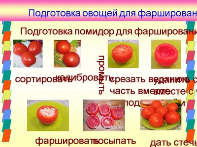 Топ-5 видов капусты: кольраби, цветная, брокколи, белокочанная,  брюссельская | Проект Роспотребнадзора «Здоровое питание»