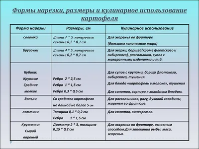 Практическое занятие \"Механическая кулинария. Нарезка, обработка овощей\"