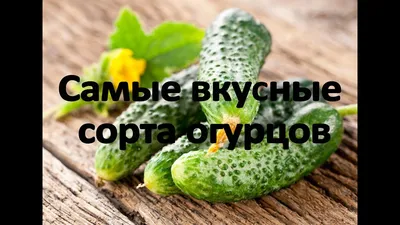 Огурцы Уральский дачник Любимые сорта огурцов - купить по выгодным ценам в  интернет-магазине OZON (893534346)