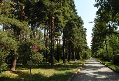 Вход в Ботанический сад сделали платным. Уже есть недовольные