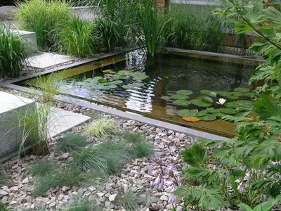 Детальное описание стилей, видов и создания водоемов в саду