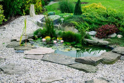 Как делается пруд на даче – искусственный декоративный водоем в саду и на  участке, красивое оформление пруда, фото