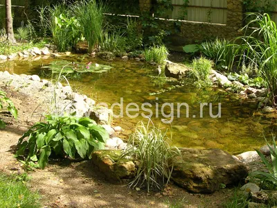 Декоративные водоемы | Компания «Элитный сад» | Благоустройство Брянск,  Москва