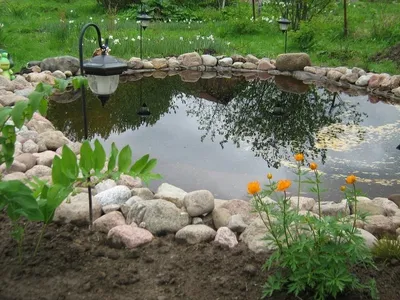 Пруд в саду: красиво и полезно - Блог о Ландшафтном Дизайне