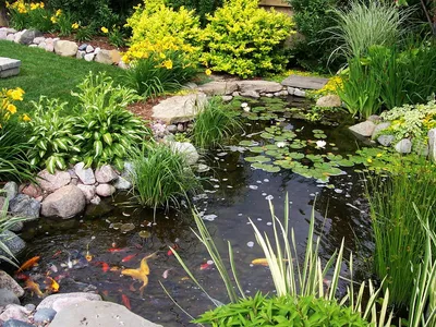 🌳Ландшафтный дизайн🌱Дача na Instagramie: „Круглый водоем в саду . . .  Листайте карусель 👉 . .” | Garden pond design, Ponds backyard, Backyard  water feature
